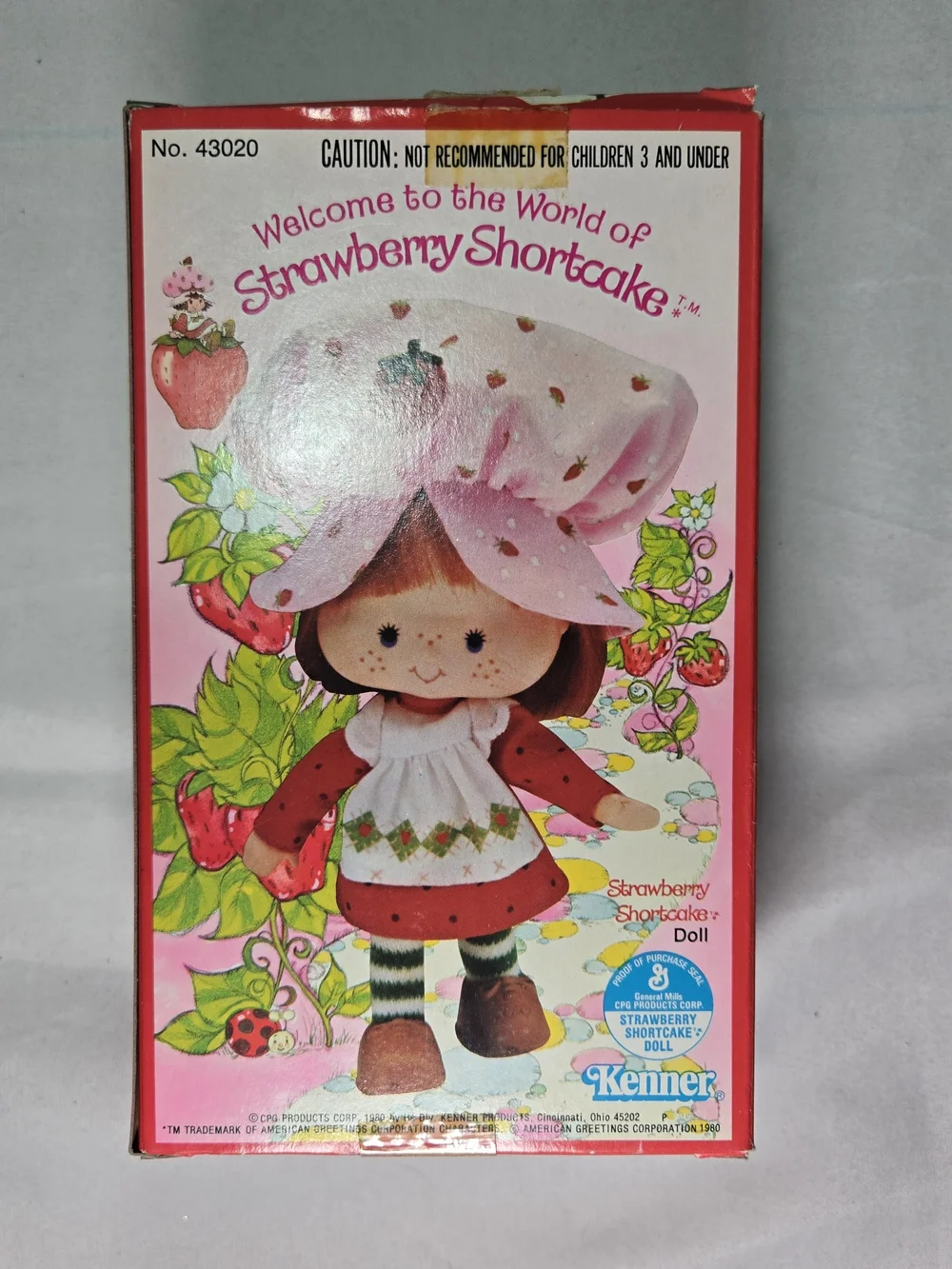 VINTAGE 1980 Kenner Strawberry Shortcake Doll #43020 W/ Accessories - Picture 2 of 7